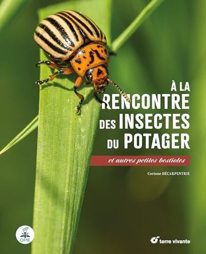 A la rencontre des insectes du potager